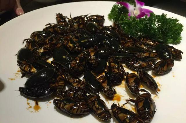 云南硬菜辣椒炒石头 厉害了那些黑暗料理 背后还有一段艰辛历史